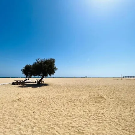 Nova Vida Barcelona Prázdninový dům Teia