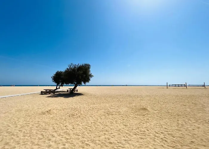 Nova Vida Barcelona Σπίτι διακοπών Teia